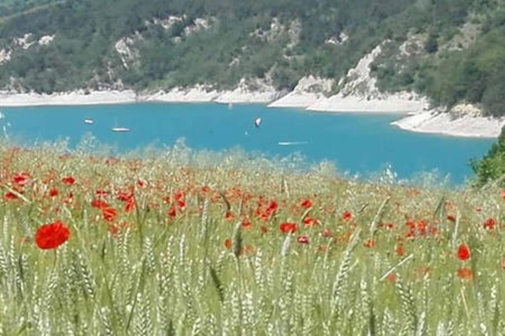 Gite De Charme : La Grange Au Lac Azur Treffort  Eksteriør bilde