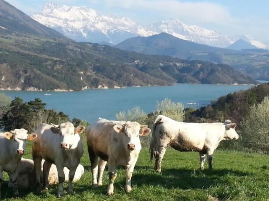 Gite De Charme : La Grange Au Lac Azur Treffort  Eksteriør bilde